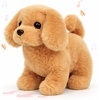 Dog-Dark Brown