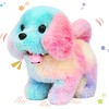 Dog-Rainbow