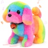 Dog_Straight Rainbow