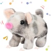 Pig-Spotted