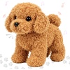 Teddy Dog