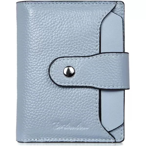 2-blue pebble