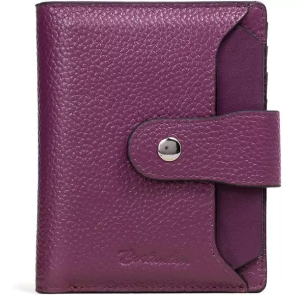 2-purple pebble
