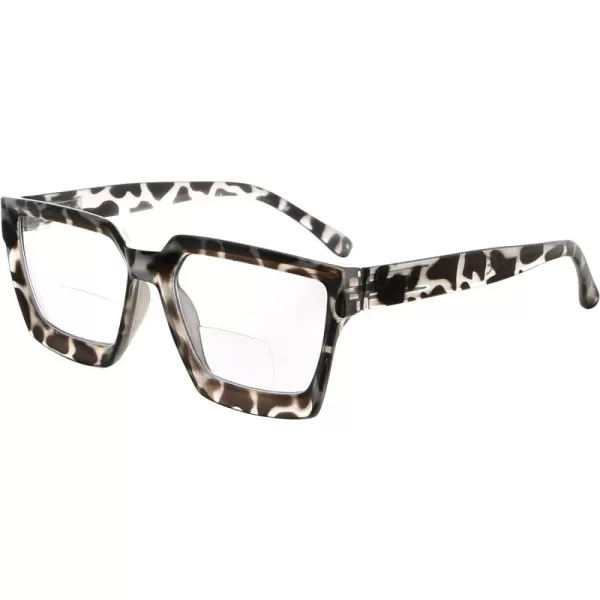Grey Tortoise