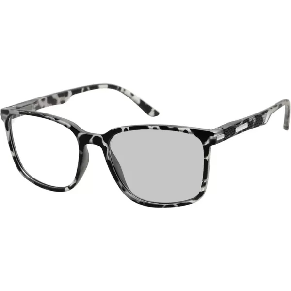Grey Tortoise