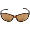 imageEyekepper TR90 Frame Bifocal Sports Sunglasses Baseball Running Fishing Driving Golf Softball Hiking Sunshine ReadersSg905 Matte Tortoise