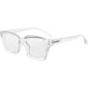 Transparent/Clear Lens