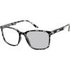 Grey Tortoise
