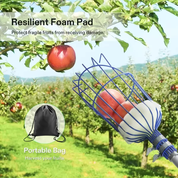 VIVOSUN 13-Foot Fruit Picker , Cherry Picker, Telescopic Fruit Picking Pole with Twist-On Basket, Adjustable Lightweight Aluminum Pole for Apples, Oranges, Bag &amp; Gloves Included, Blue