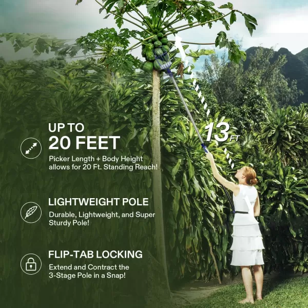 VIVOSUN 13-Foot Fruit Picker , Cherry Picker, Telescopic Fruit Picking Pole with Twist-On Basket, Adjustable Lightweight Aluminum Pole for Apples, Oranges, Bag &amp; Gloves Included, Blue