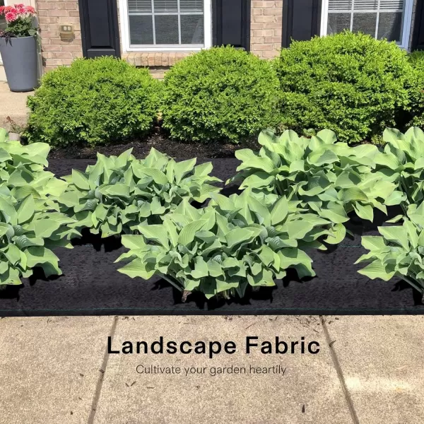 VIVOSUN 5oz/sq.yd Barrier Landscape Fabric 3 x 100 Ft., Commercial Ground Cover Fabric Block, Gardening Fabric Mat, Black Heavy Duty Garden Cloth Felt for Flower Bed, Patio, Orchard, and Playground