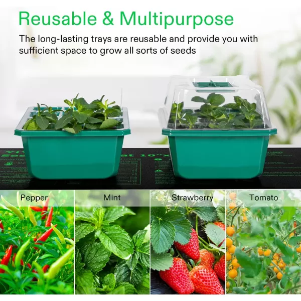 VIVOSUN 6-Pack Seed Starter Trays with 10"x20.75" Seedling Heat Mat, Self-Adjusting Dual Digital Display Temperature Controller, 72-Cell Seed Starter Kit with Humidity Dome, Reusable Propagation Trays