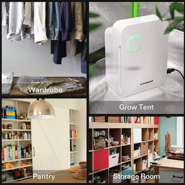VIVOSUN Electric Mini Dehumidifier, Ultra-Quiet Auto Defrost Dehumidifier with Timer, 2200ML Water Tank and Drain Hose for Basement or Smaller Room