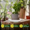 imageVIVOSUN 50Pack 3 Gallon Grow Bags for Plants and 6 Pack Plant Saucer 8 10 12 inch Plant Saucers for Indoor Heavy Duty Plastic Plant Trays for pots Grow Bags Bird Baths Flower Drip Trays