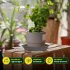 imageVIVOSUN 5Pack 3 Gallon Grow Bags and 6 Pack Plant Saucer 8 10 12 inch Plant Saucers for Indoor Heavy Duty Plastic Plant Trays for pots Grow Bags Bird Baths Flower Drip Trays for Indoor