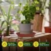 imageVIVOSUN 5Pack 3 Gallons Grow Bags Heavy Duty Thickened Nonwoven Fabric Pots and 6 Pack Plant Saucer 8 10 12 inch Plant Saucers for Indoor Heavy Duty Plastic Plant Trays for pots Grow Bag