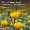 imageVIVOSUN NutriBoost 001 and Bloom Juice 064 Flowering Supplement Liquid Fertilizer for Flowering Stage Concentrated Plant Food for All Flowering Plants 8 Ounces
