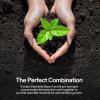 imageVIVOSUN Plant Food Nutrients Base A401 ampamp B142 Bundle and NutriBoost 001 AllPurpose Liquid Fertilizer for All Growing Stages AllinOne Concentrated Additive for Vegetables Flowers