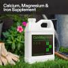 imageVIVOSUN Plant Food Nutrients Base A401 ampamp B142 Bundle and CalMagIron 200 Calcium Magnesium ampamp Iron Supplement Liquid Nutrient Fertilizer for All Plants Concentrated Plant Food for Soil