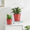 imageVIVOSUN 50 Pcs 6 Inch Plastic Plant Nursery Pots Seed Starting Pot Flower Plant Container for Seedlings Cuttings Transplanting4 inch