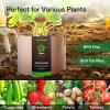 imageVIVOSUN 5Pack 10 Gallon Plant Grow Bags Heavy Duty Thickened Nonwoven Fabric Pots with HandlesTan