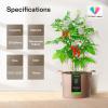 imageVIVOSUN 5Pack 10 Gallon Plant Grow Bags Heavy Duty Thickened Nonwoven Fabric Pots with HandlesTan