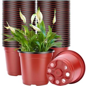 imageVIVOSUN 50 Pcs 6 Inch Plastic Plant Nursery Pots Seed Starting Pot Flower Plant Container for Seedlings Cuttings Transplanting4 inch