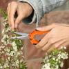 imageVIVOSUN Gardening Scissors 65 Inch Hand Pruner Pruning Shear with Straight Stainless Steel Blades Garden Tools for Women Men Black and GreenStraight Blade