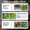imageVIVOSUN Wire Trellis Kit with 20 Adjustable Set Holders and 984ft Wire Rope 316 Stainless Steel Espalier Cable Trellis Kit with Adjustable Spacing for Climbing Plants Vines and Green WallAdjustable