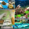 imageVIVOSUN Air Stone 2PCS 4 x 2 Inch Large Air Stone for Aquarium Fish Tank and Hydroponics Air Pump