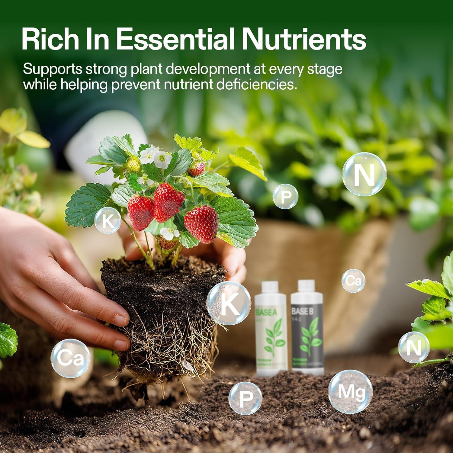 imageVIVOSUN Liquid Nutrients Base A ampamp B Bundle Grow Big Hydroponic Fertilizer Supports Vegetative and Flowering Stages for Outdoor Indoor Plants Best Plant Food Set of 8oz8 Ounce