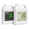imageVIVOSUN Liquid Nutrients Base A ampamp B Bundle Grow Big Hydroponic Fertilizer Supports Vegetative and Flowering Stages for Outdoor Indoor Plants Best Plant Food Set of 8oz32 Ounce