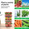 imageVIVOSUN 5 Tier Vertical Gardening Stackable Planter for Strawberries Flowers Herbs Vegetables Dark GreenBrown