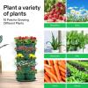 imageVIVOSUN 5 Tier Vertical Gardening Stackable Planter for Strawberries Flowers Herbs Vegetables Dark GreenDark Green