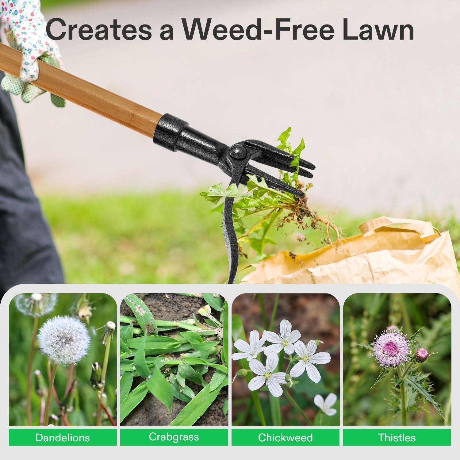 imageVIVOSUN 47quot Weed Puller StandUp Weed Puller Tool with Bamboo Handle ampamp 4Claw Steel Head Sectional Pole Design Easy Weeding Without Pulling Bending or Kneeling