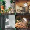 imageVIVOSUN Clamp Lamp Light with Detachable 85 Inch Aluminum Reflector up to 150 Watt E26 Socket No Bulb Included 6 Feet Cord UL Listed Pack of 285 Inch