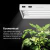 imageVIVOSUN Grow Lights 4 ft and Bulbs 54W 6500K HO Fluorescent Tubes Light Bulbs Cool White Bulb for 46 Inches T5 Light Fixtures T5 Grow Lights for Indoor Plants Pack of 5