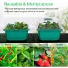 imageVIVOSUN 2 Pack Durable Waterproof Seedling Heat Mat Warm Hydroponic Heating Pad and 12Pack Seed Starter Trays 144Cell Seed Starter Kit with Humidity Dome