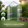imageVIVOSUN 10x7x7 Ft Large Walk in Greenhouse Greenhouse Tunnel Garden Plant Hot House with Green PE Cover Rollup Zipper Door and Window for OutdoorClear PVC