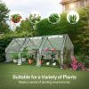 imageVIVOSUN 10x7x7 Ft Large Walk in Greenhouse Greenhouse Tunnel Garden Plant Hot House with Green PE Cover Rollup Zipper Door and Window for OutdoorClear PVC