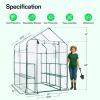 imageVIVOSUN 10x7x7 Ft Large Walk in Greenhouse Greenhouse Tunnel Garden Plant Hot House with Green PE Cover Rollup Zipper Door and Window for OutdoorClear PVC