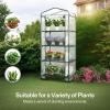 imageVIVOSUN 10x7x7 Ft Large Walk in Greenhouse Greenhouse Tunnel Garden Plant Hot House with Green PE Cover Rollup Zipper Door and Window for OutdoorClear PVC