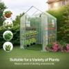 imageVIVOSUN 10x7x7 Ft Large Walk in Greenhouse Greenhouse Tunnel Garden Plant Hot House with Green PE Cover Rollup Zipper Door and Window for OutdoorClear PVC