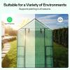 imageVIVOSUN 10x7x7 Ft Large Walk in Greenhouse Greenhouse Tunnel Garden Plant Hot House with Green PE Cover Rollup Zipper Door and Window for OutdoorGreen PE
