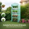imageVIVOSUN 10x7x7 Ft Large Walk in Greenhouse Greenhouse Tunnel Garden Plant Hot House with Green PE Cover Rollup Zipper Door and Window for OutdoorGreen PE