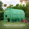 imageVIVOSUN 10x7x7 Ft Large Walk in Greenhouse Greenhouse Tunnel Garden Plant Hot House with Green PE Cover Rollup Zipper Door and Window for OutdoorGreen PE