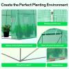 imageVIVOSUN 10x7x7 Ft Large Walk in Greenhouse Greenhouse Tunnel Garden Plant Hot House with Green PE Cover Rollup Zipper Door and Window for OutdoorGreen PE