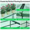 imageVIVOSUN 10x7x7 Ft Large Walk in Greenhouse Greenhouse Tunnel Garden Plant Hot House with Green PE Cover Rollup Zipper Door and Window for OutdoorGreen PE