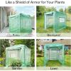 imageVIVOSUN 10x7x7 Ft Large Walk in Greenhouse Greenhouse Tunnel Garden Plant Hot House with Green PE Cover Rollup Zipper Door and Window for OutdoorGreen PE