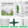 imageVIVOSUN 10x7x7 Ft Large Walk in Greenhouse Greenhouse Tunnel Garden Plant Hot House with Green PE Cover Rollup Zipper Door and Window for OutdoorWhite PE